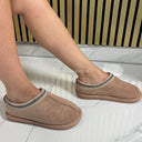 Famous Taswoman EV-80