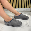 Famous Taswoman EV-80