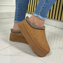 FY-118 Camel Platform Taswoman Famous